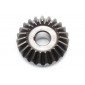 PINION Z=23 FI30 COSITOARE TURCEASCA PZ1.65M